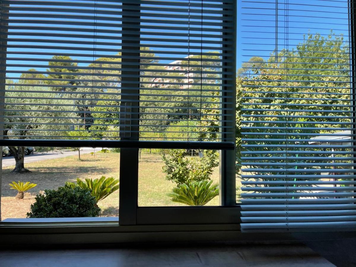 Studio Tout Confort Au Calme Avec Jardin Proche Cannes Ле-Канне Екстер'єр фото